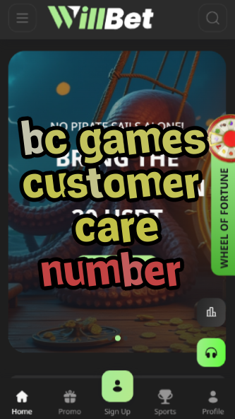 BC Games Customer Care Number-vz72fvrf.com